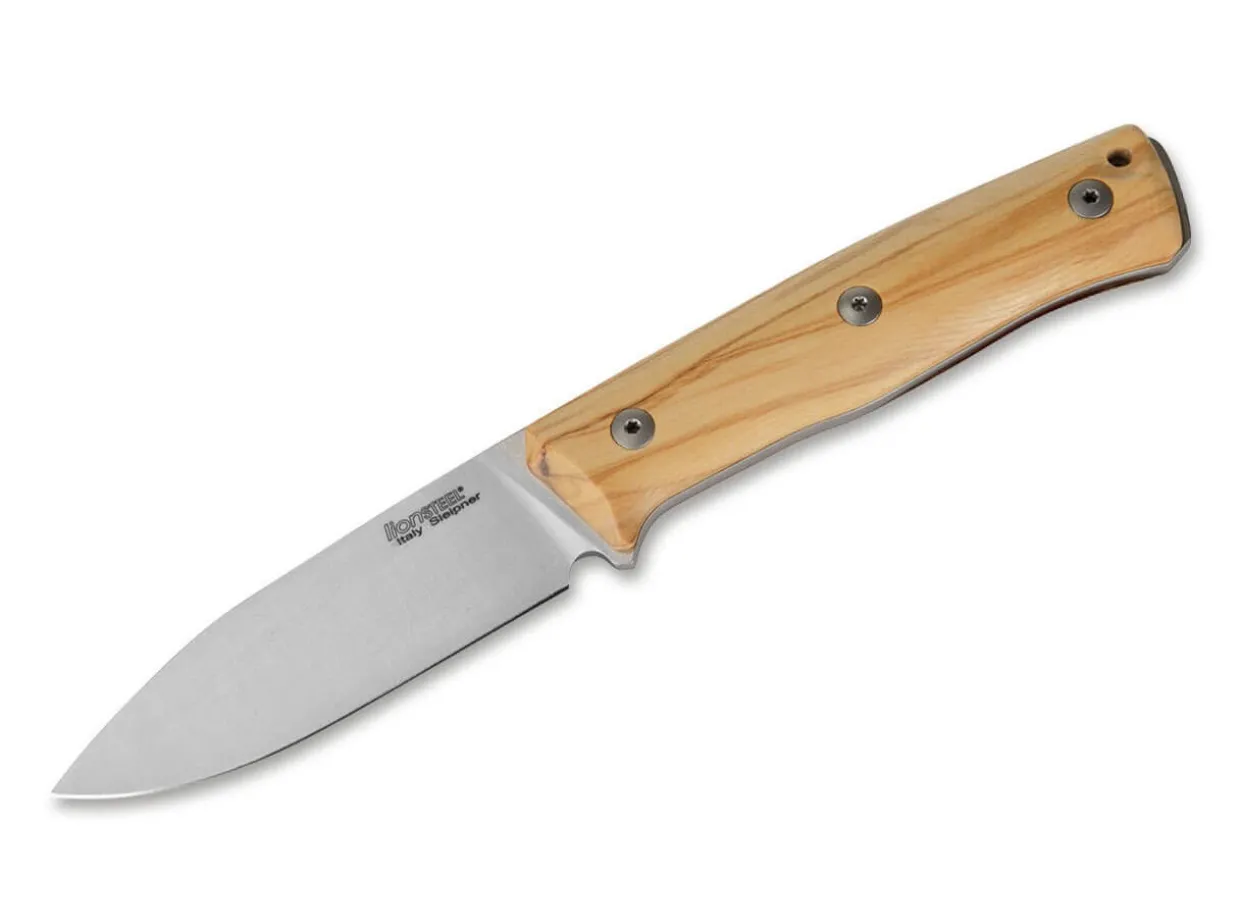 B35 Olive