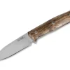 B35 Walnut
