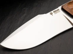 Bison Guayacan