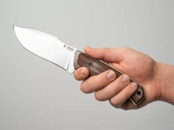 Bison Guayacan