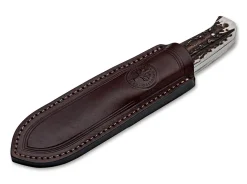Bison Hirschhorn
