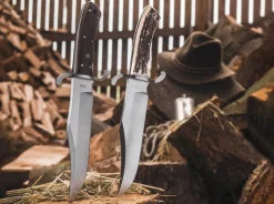 Bowie N690 Hirschhorn