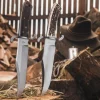 Bowie N690 Hirschhorn