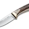 Colibri Stag
