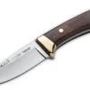 Colibri Wood
