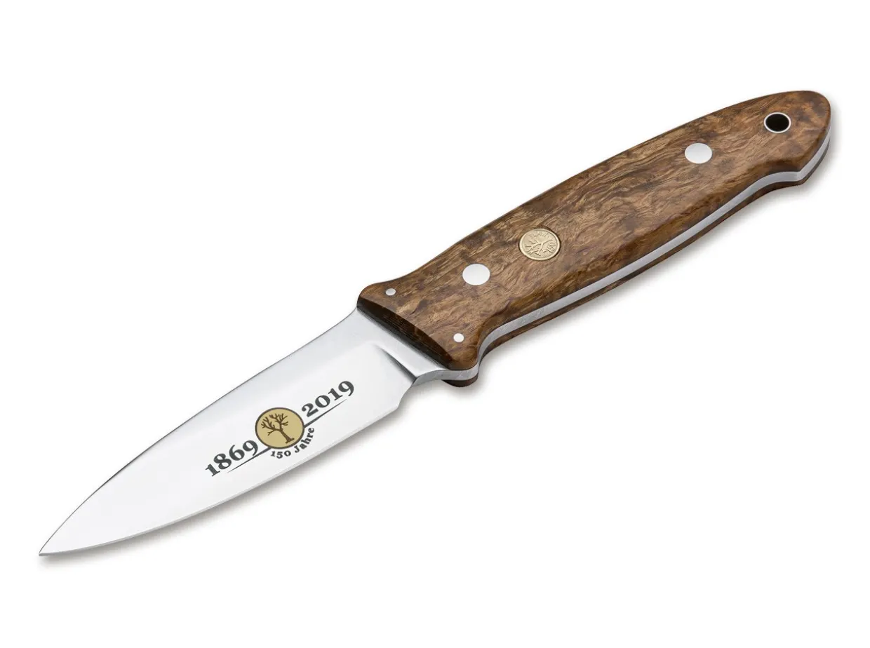 Cub Anniversary 150