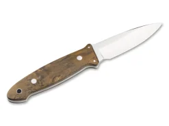 Cub Maserbirke Braun