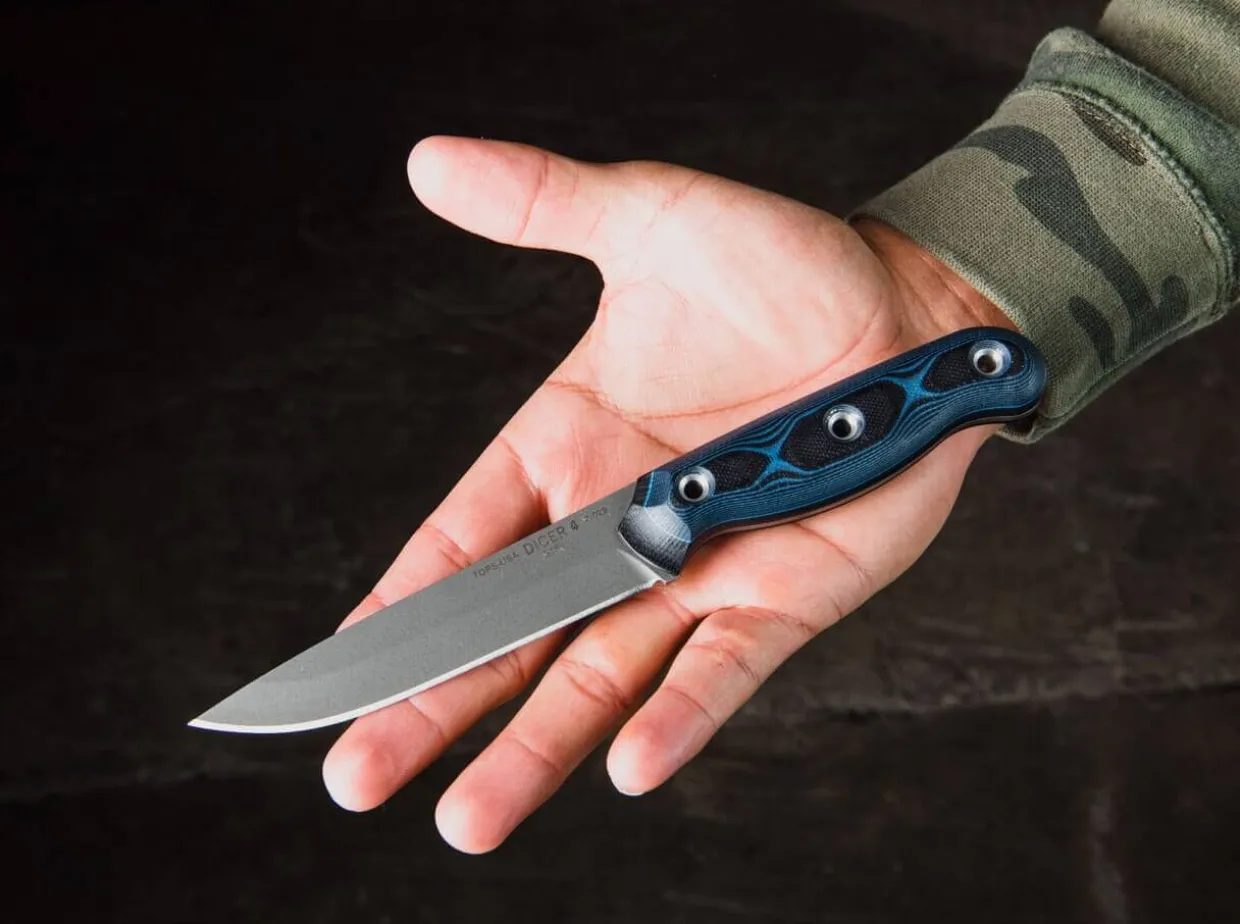 Dicer 4 Steak Knife Blue