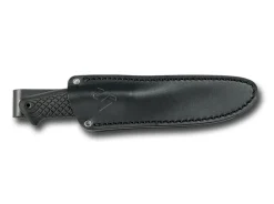 Druid 255