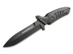 Fearless Cf Pvd