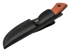 Forager Orange