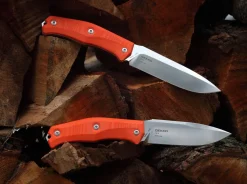Gekko 1533