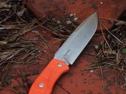 Gekko 1533