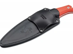 Gekko Orange