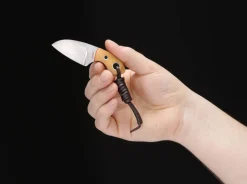 Gnome Olive