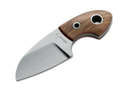 Gnome Olive