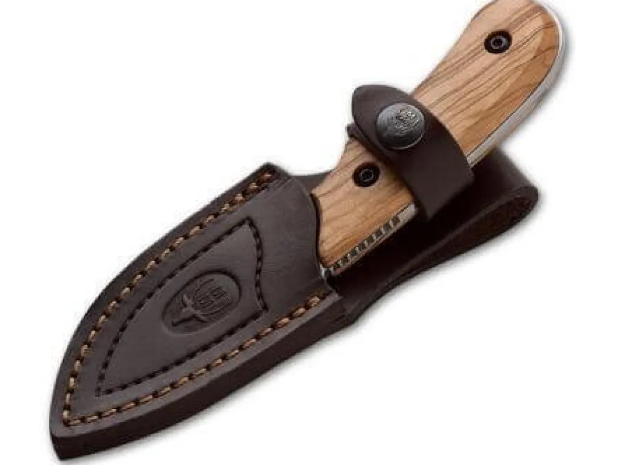 Ibex Olive