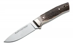 Kodiak Stag