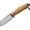 M1 Olive