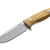 M5 Olive Wood