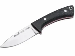 Peccary Black