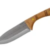 Pictus