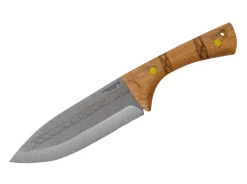 Pictus