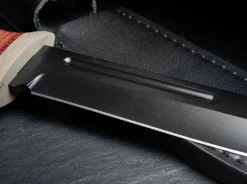 Ranger Field Bowie