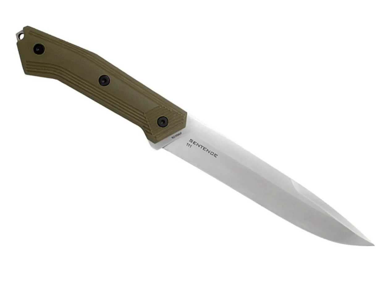 Sentence 111