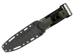 Sentence 131 Tanto