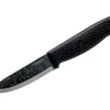 Terrasaur Black