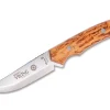 Viking Curly Birch